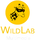 WildLab Multimedia